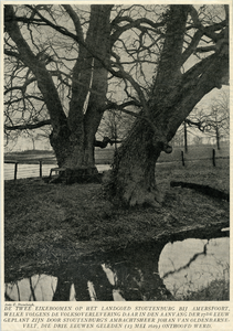 95004 Afbeelding van twee grote eikenbomen langs een sloot op het landgoed Stoutenburg (gemeente Leusden), volgens de ...